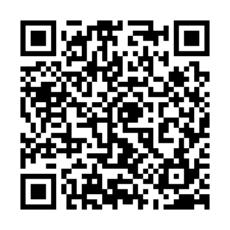 QR code for 517334