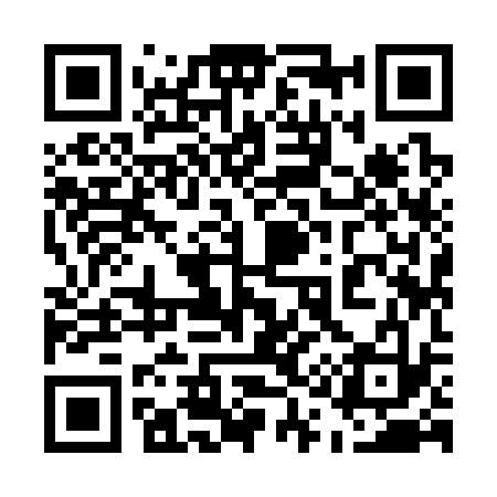 QR code for 519333