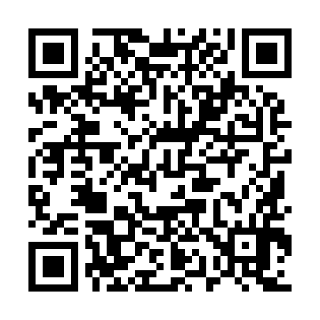 QR code for 519994