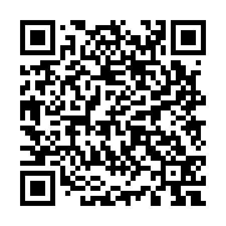 QR code for 520133