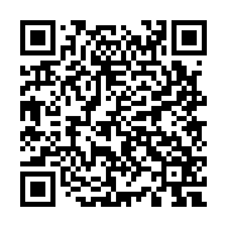 QR code for 520166