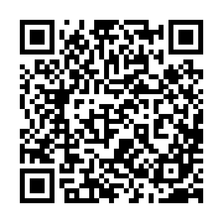 QR code for 520287