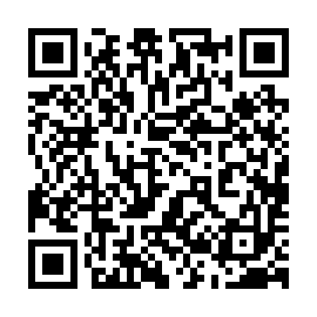 QR code for 520293