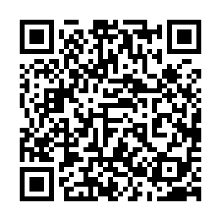 QR code for 520919