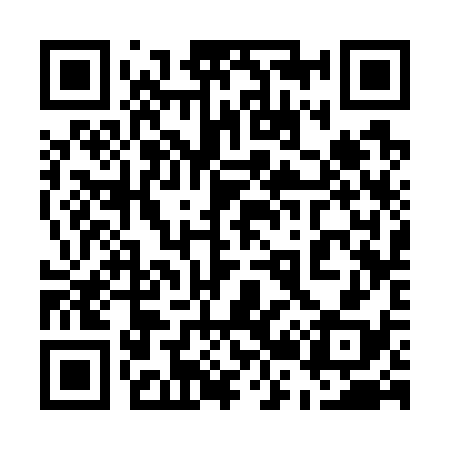 QR code for 523738