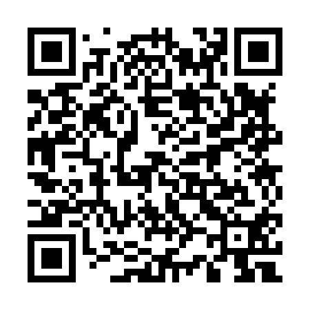 QR code for 523810