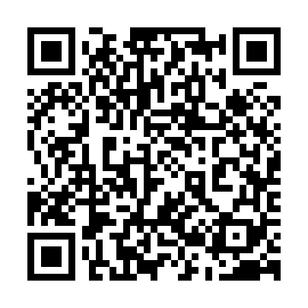QR code for 523869