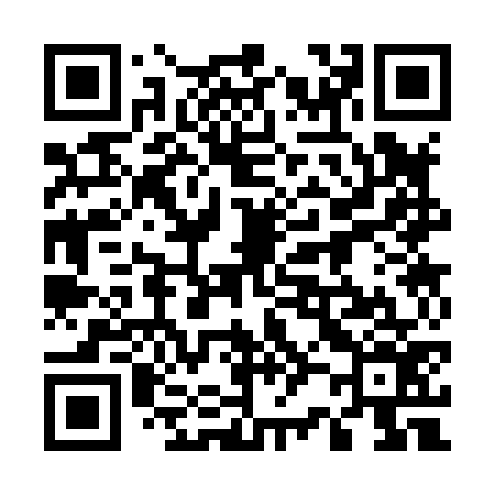 QR code for 523876