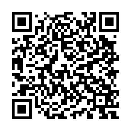 QR code for 529063
