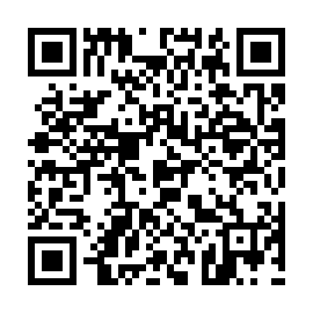 QR code for 529304