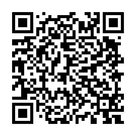 QR code for 529494