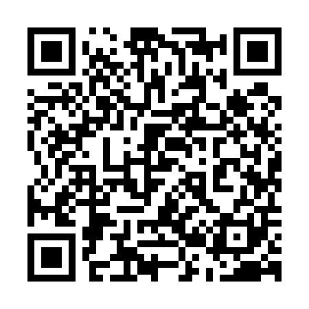 QR code for 529501