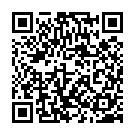 QR code for 529575