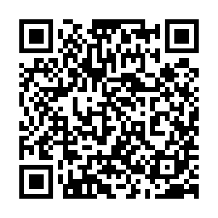 QR code for 529581