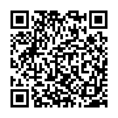 QR code for 532313