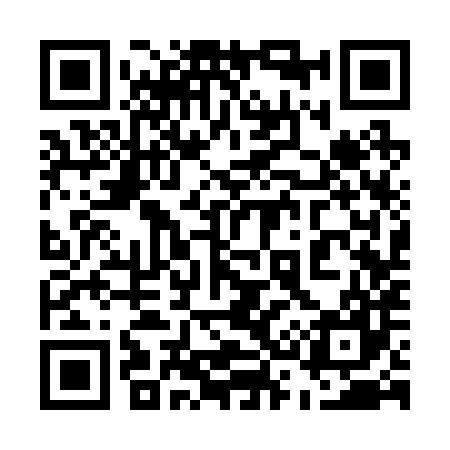 QR code for 533287