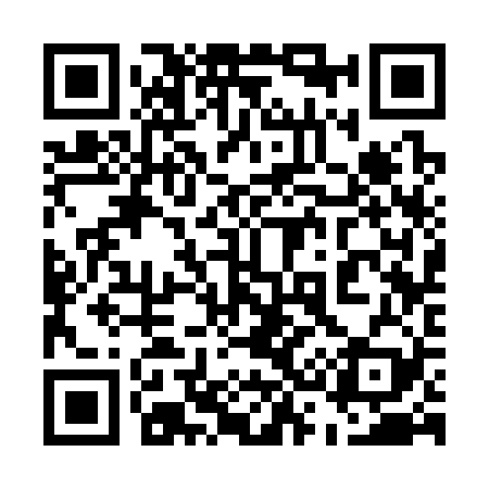QR code for 533329
