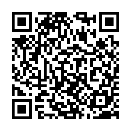 QR code for 533355