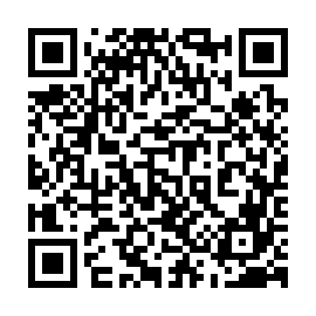 QR code for 533366