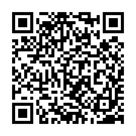 QR code for 533593