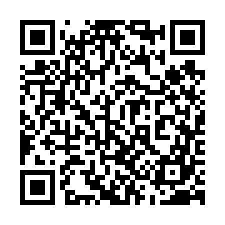 QR code for 533667