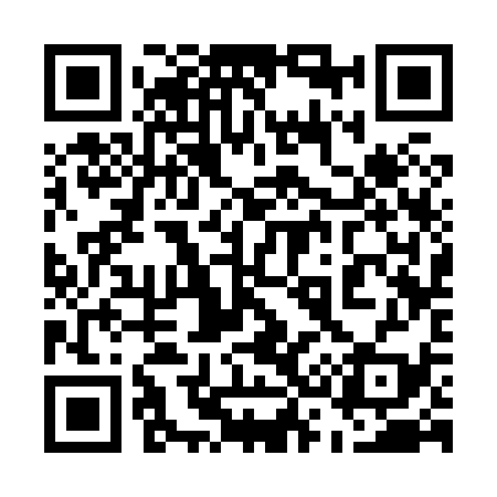 QR code for 533839