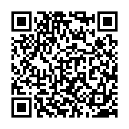 QR code for 534333
