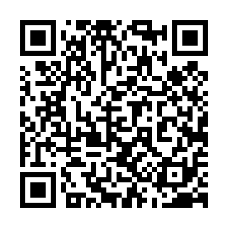QR code for 534411