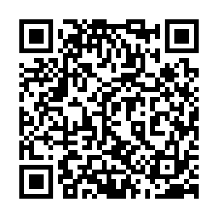 QR code for 535333