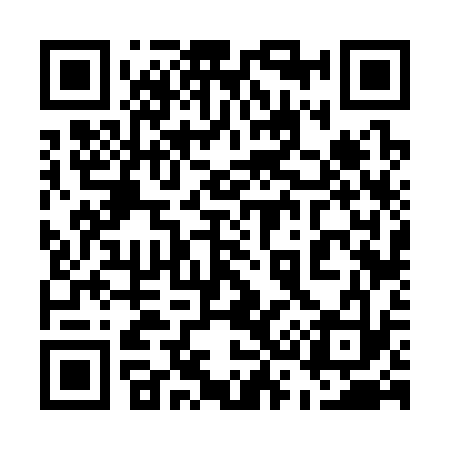 QR code for 536333