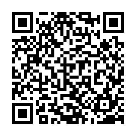 QR code for 536334