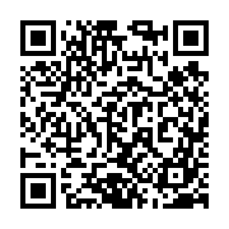 QR code for 536667