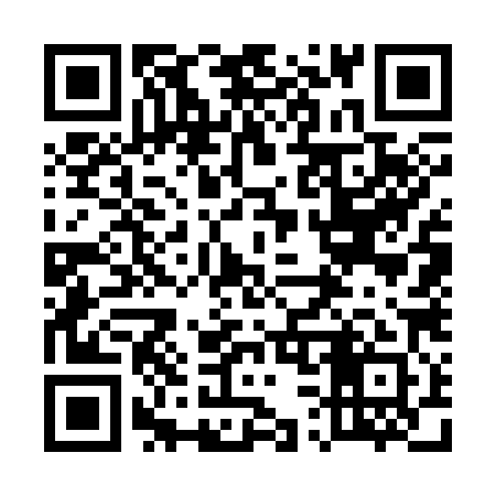 QR code for 537381