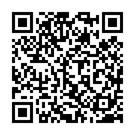 QR code for 538411