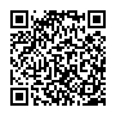 QR code for 538523