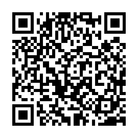 QR code for 538561