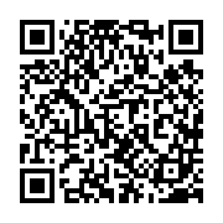 QR code for 538603