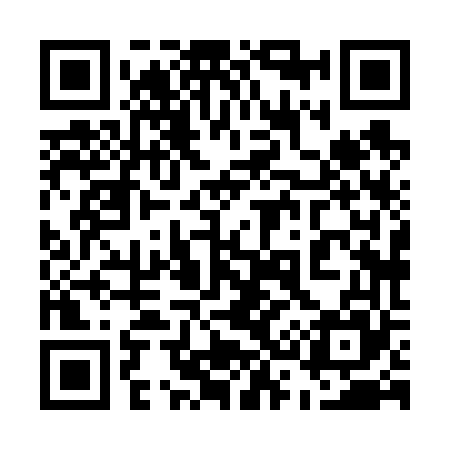 QR code for 538665