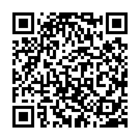 QR code for 538738