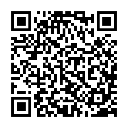 QR code for 538895