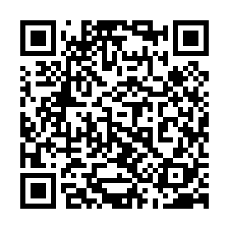 QR code for 539028