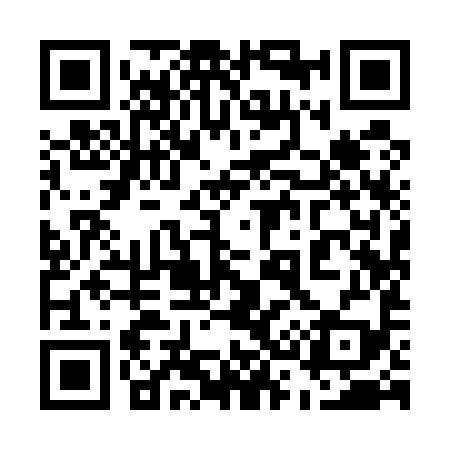 QR code for 539599