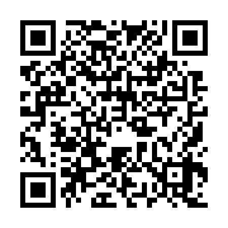 QR code for 539738