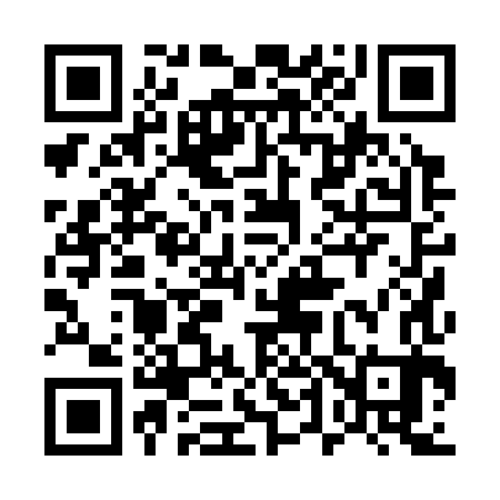 QR code for 540383