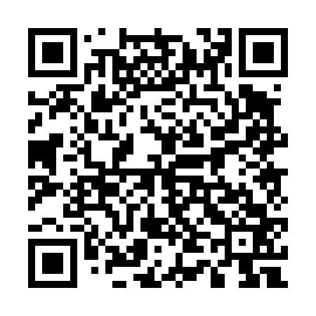 QR code for 540463
