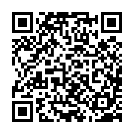 QR code for 540595