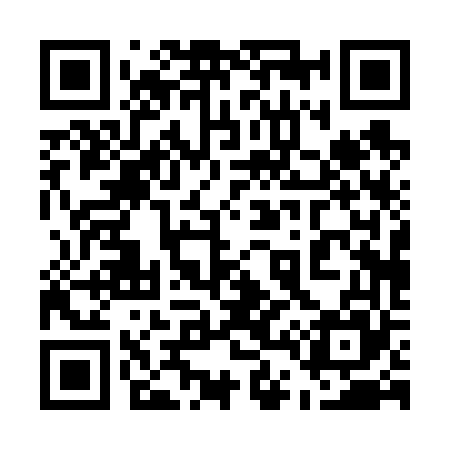 QR code for 540665