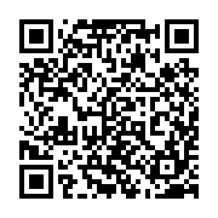 QR code for 541294