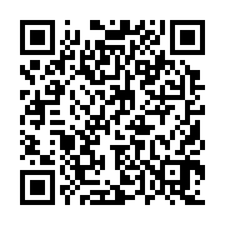 QR code for 541302