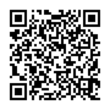 QR code for 541303